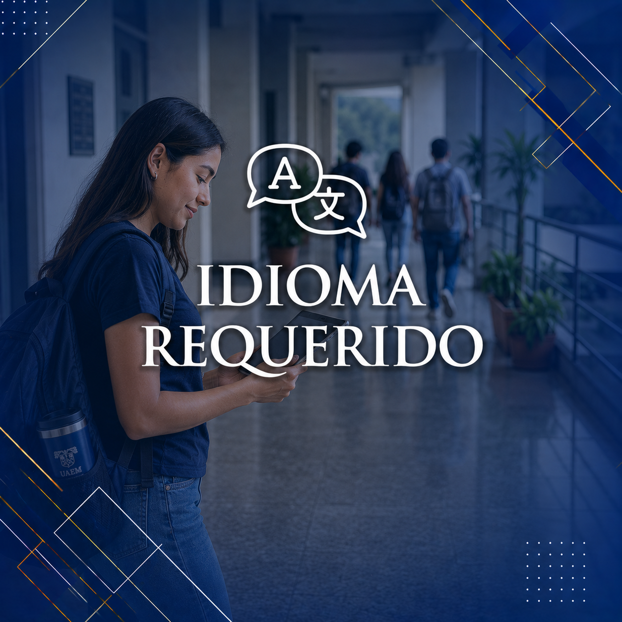 Idioma Requerido