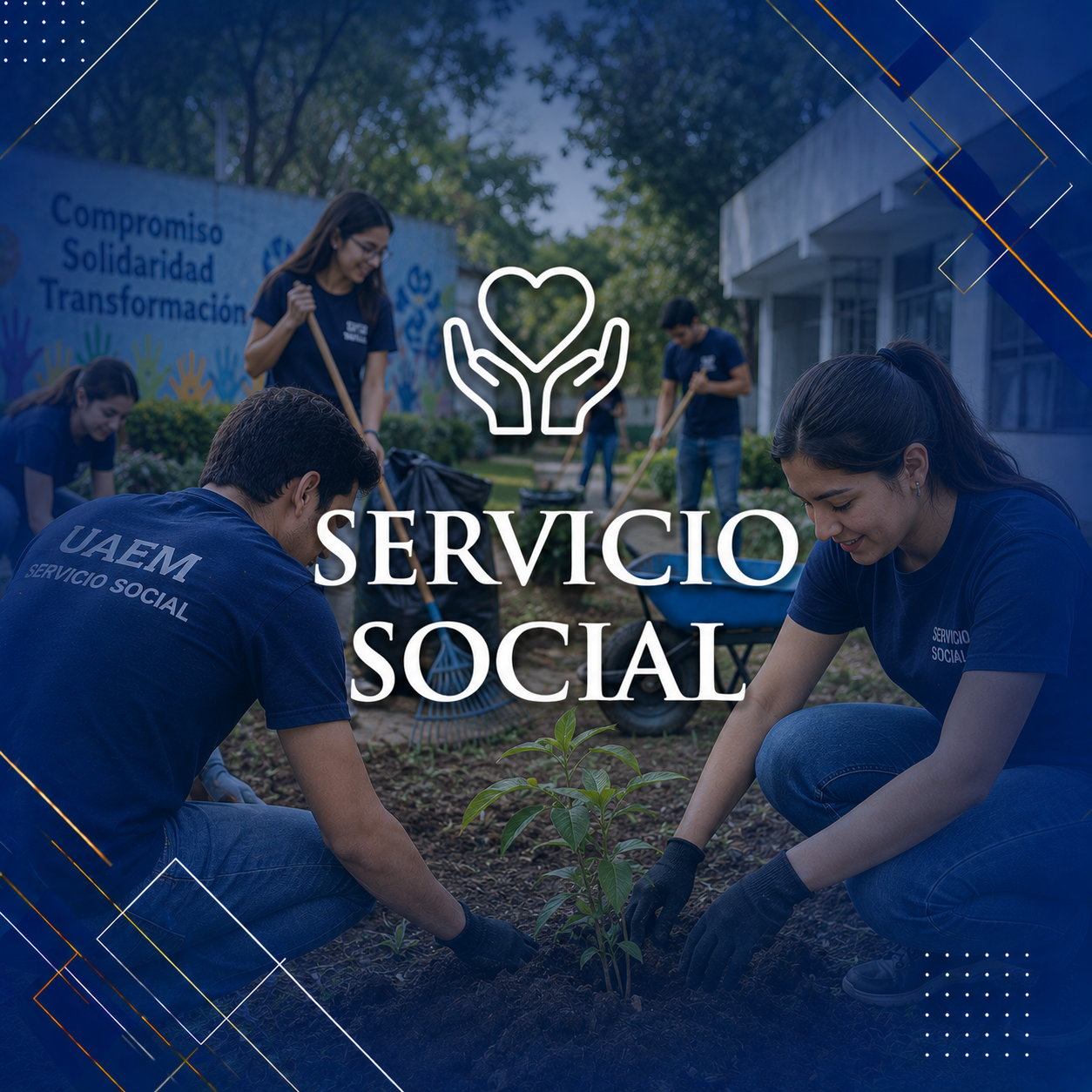 Servicio Social